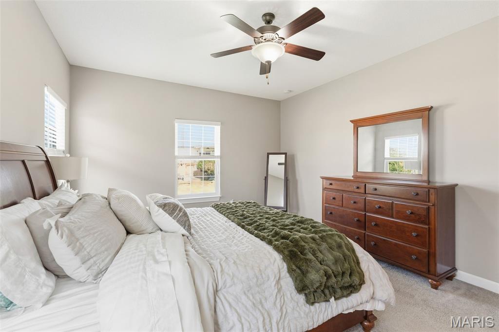 1508 Shadow Ridge Columbia, IL 62236 - Photo 37 of 72 Gallery Image 37