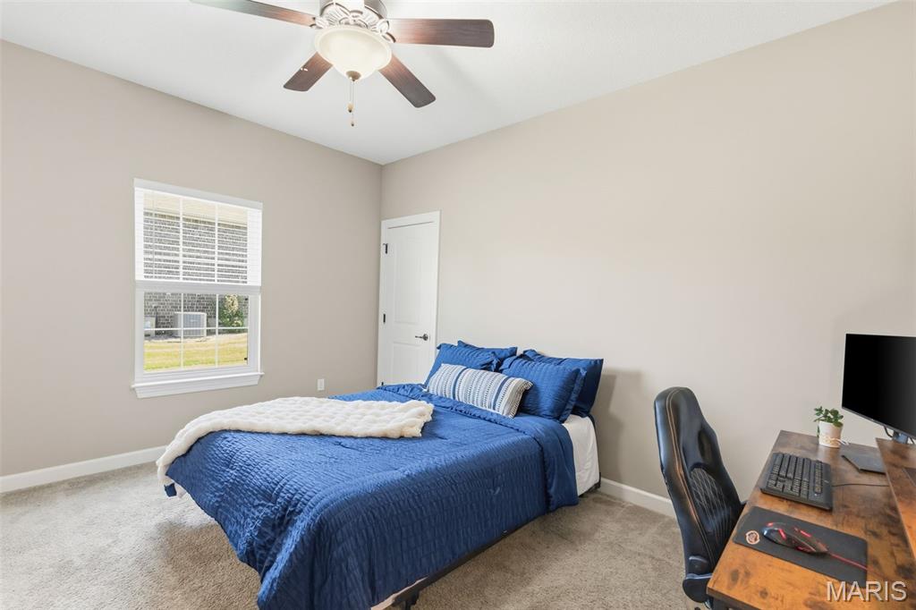 1508 Shadow Ridge Columbia, IL 62236 - Photo 44 of 72 Gallery Image 44