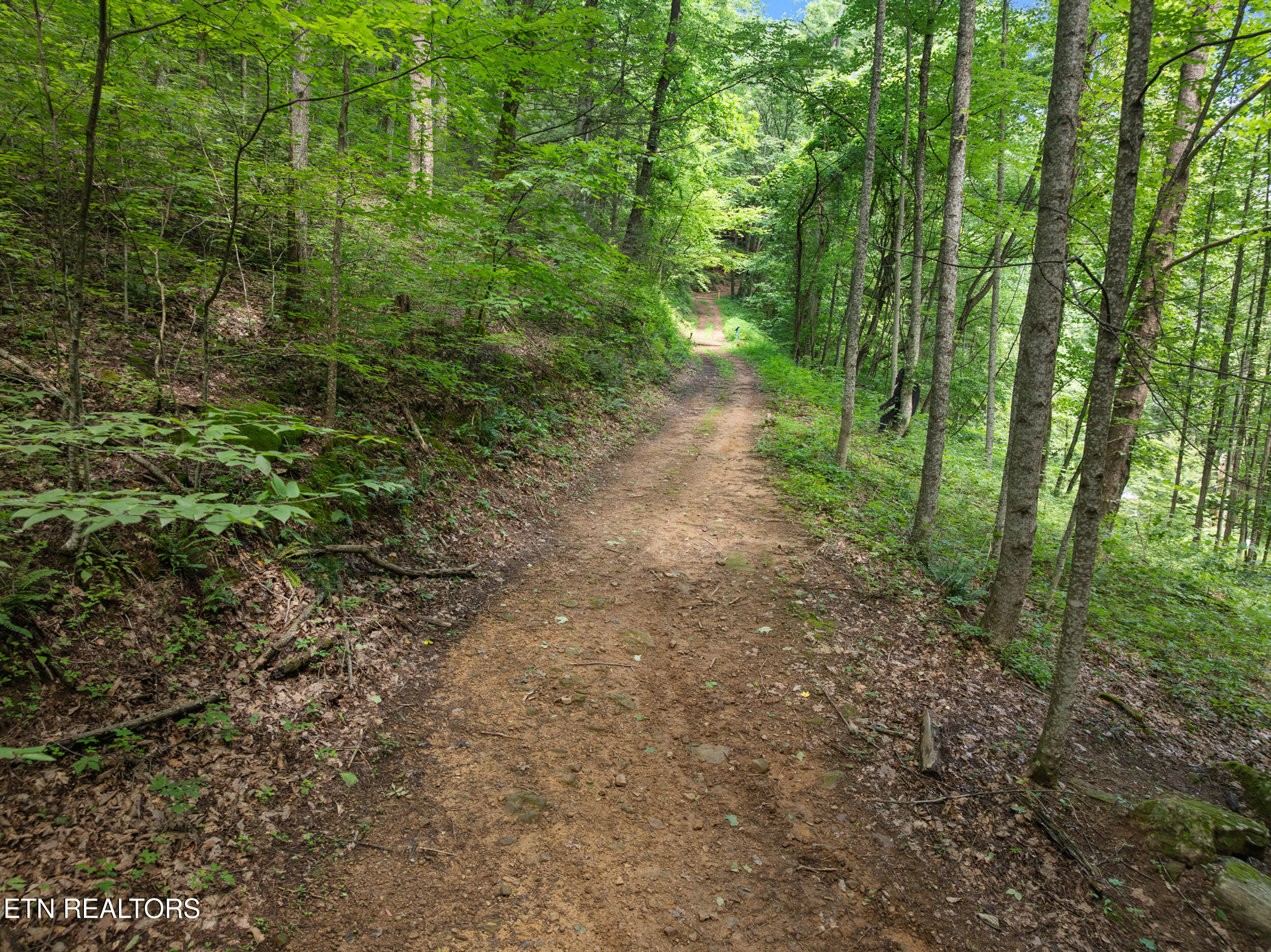 2792 Happy Hollow Road Sevierville, TN 37862 - Photo 26 of 59 54_2792 happy hollow-49