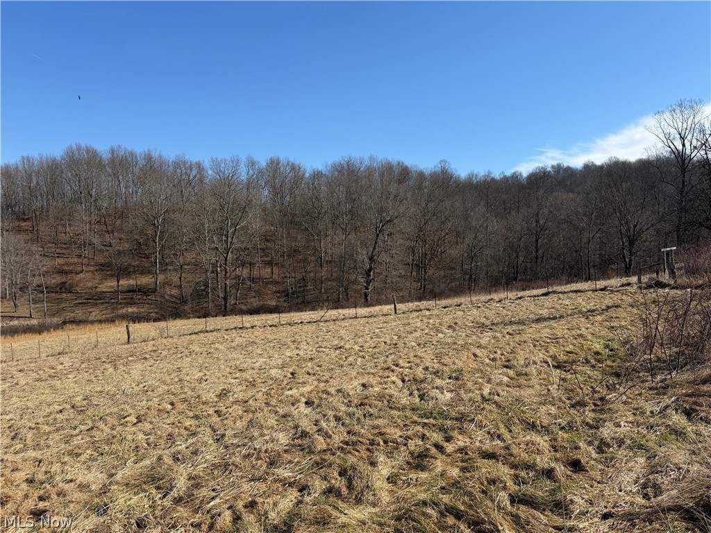 31785 Piedmont-Freeport Road Freeport, OH 43973 - Photo 16 of 50