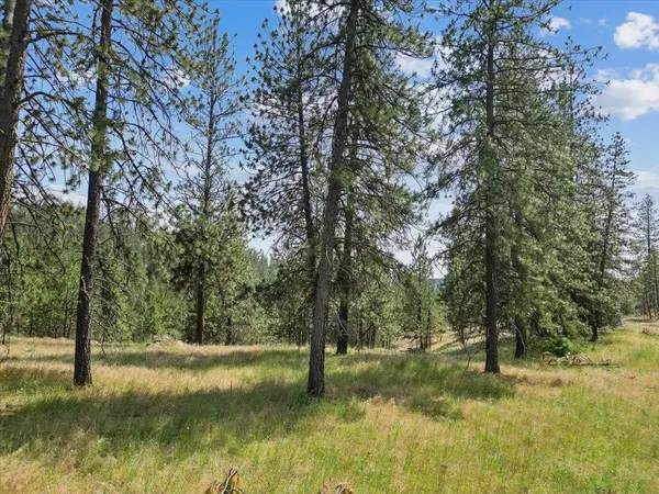 $139,000 | Nka Weaver Road, Unit LOT B OF LOT 6, Nine Mile Falls, WA 99026