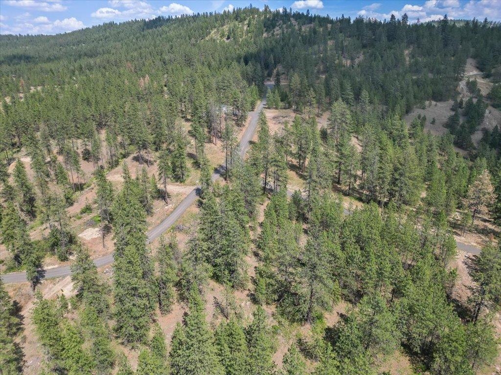 Nka Weaver Road, Unit LOT B OF LOT 6 Nine Mile Falls, WA 99026 - Photo 4 of 12