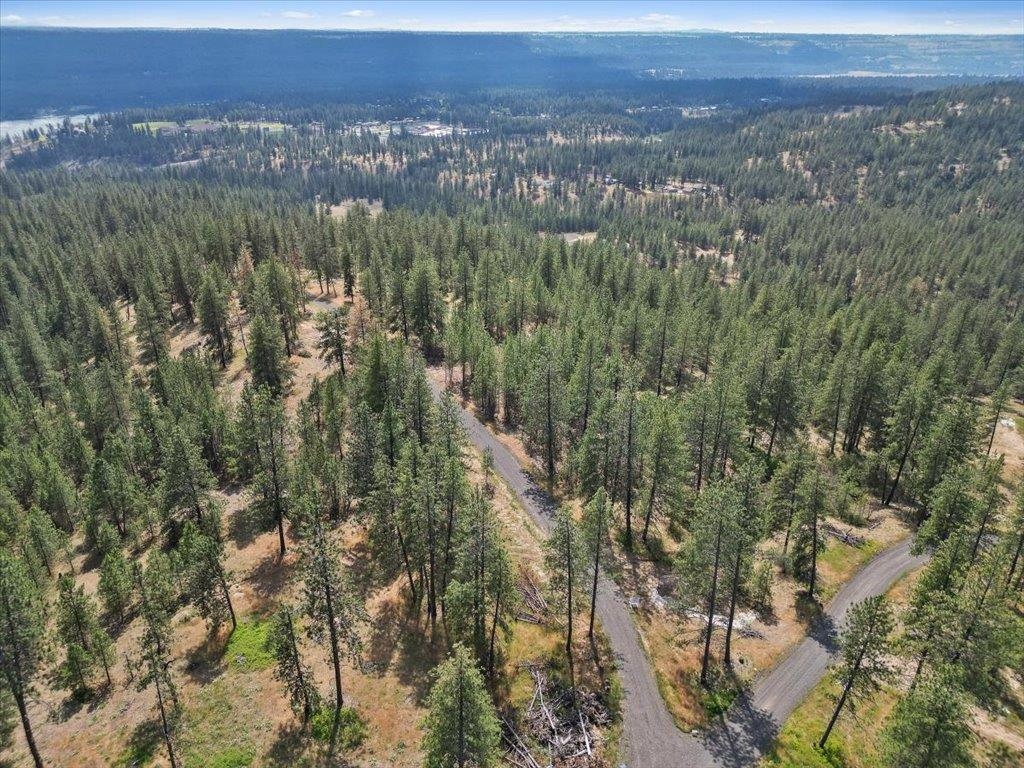 Nka Weaver Road, Unit LOT B OF LOT 6 Nine Mile Falls, WA 99026 - Photo 5 of 12