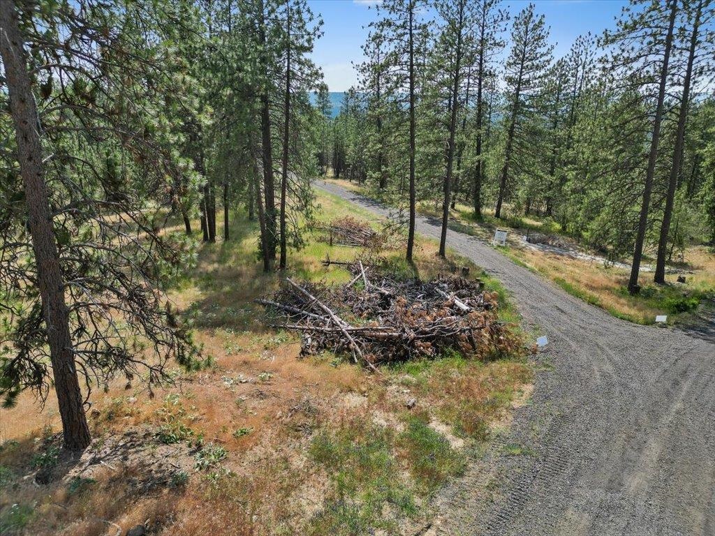 Nka Weaver Road, Unit LOT B OF LOT 6 Nine Mile Falls, WA 99026 - Photo 6 of 12