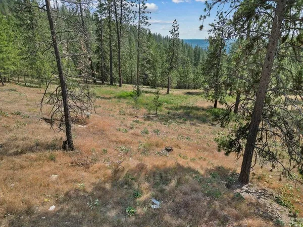 $139,000 | Nka Weaver Road, Unit LOT B OF LOT 6, Nine Mile Falls, WA 99026