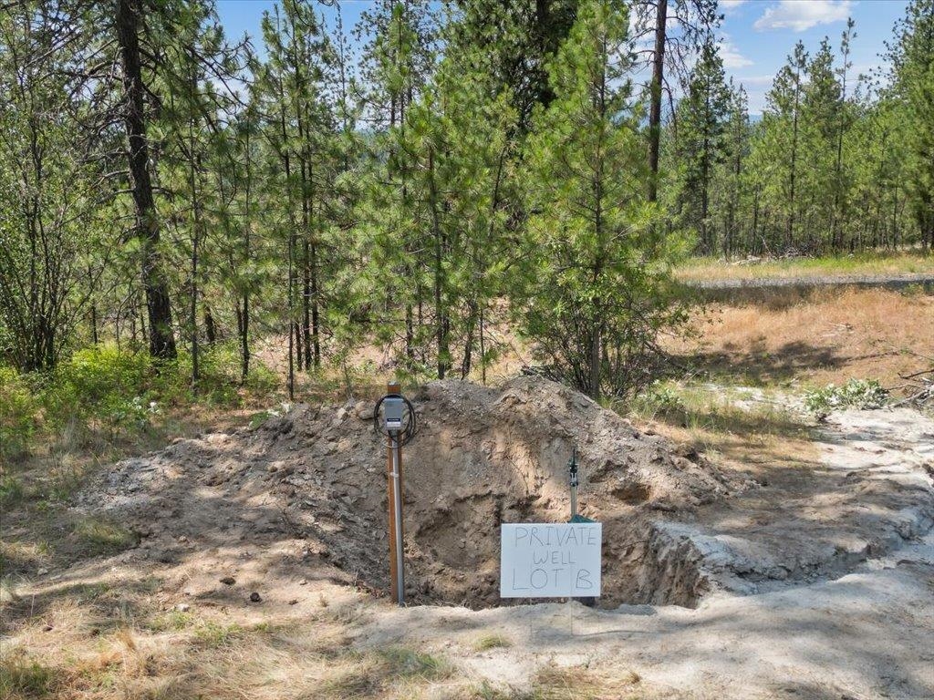 Nka Weaver Road, Unit LOT B OF LOT 6 Nine Mile Falls, WA 99026 - Photo 9 of 12