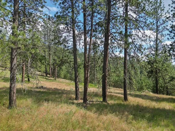 $139,000 | Nka Weaver Road, Unit LOT B OF LOT 6, Nine Mile Falls, WA 99026