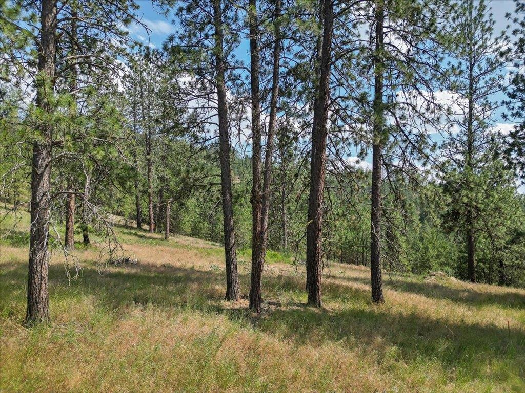 Nka Weaver Road, Unit LOT B OF LOT 6 Nine Mile Falls, WA 99026 - Photo 10 of 12