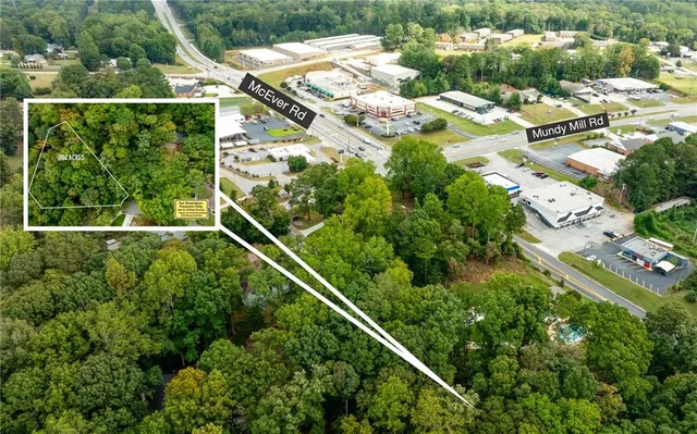 a view of a yard with plants