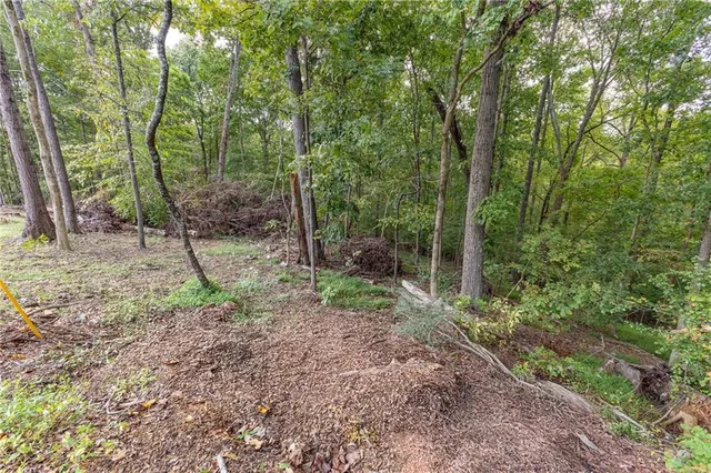 a view of outdoor space with deck and trees