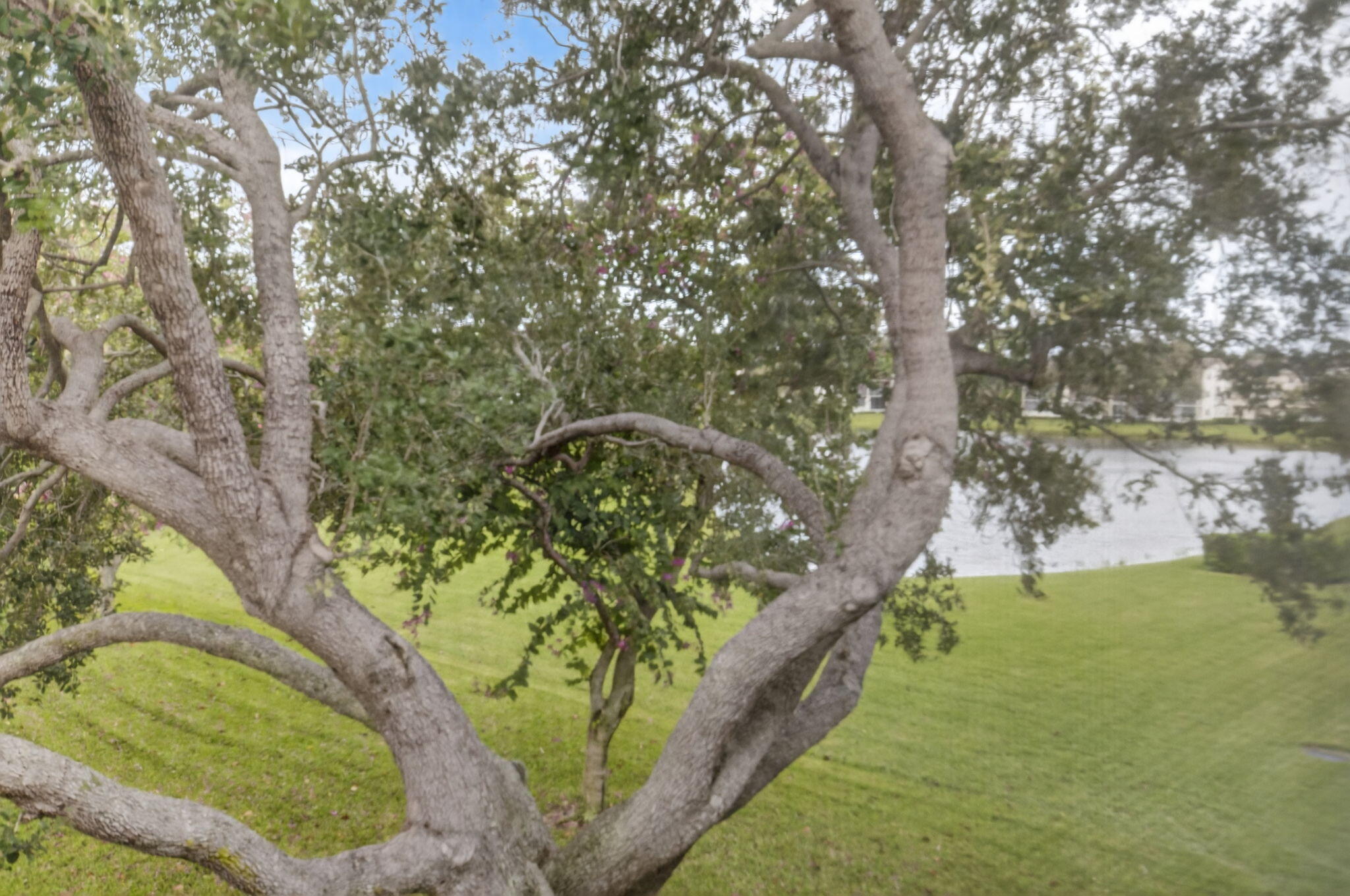 167 Preston F, Unit 167 Boca Raton, FL 33434 - Photo 23 of 54 View