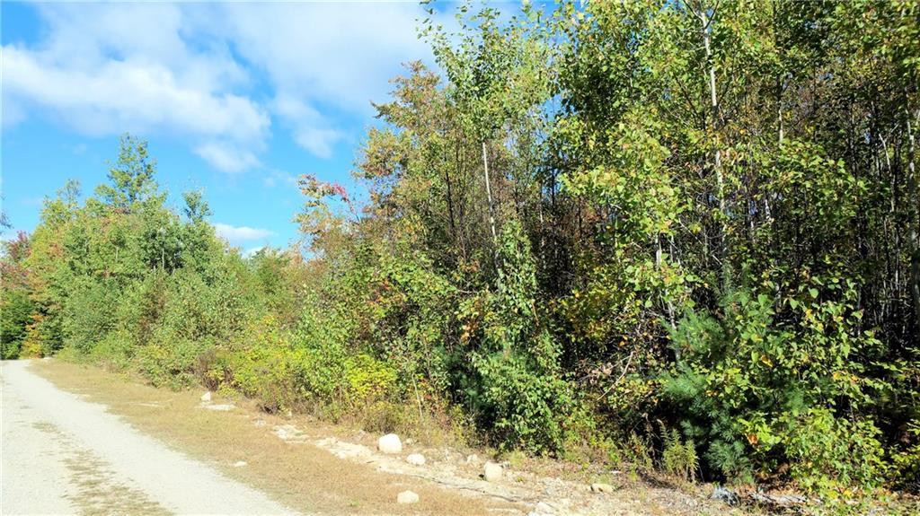 Lot 18 Weatherbee Pt Road Lincoln, ME 04457 - Photo 4 of 11 Taylor Road view.