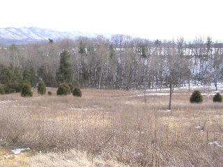 Tbd Tbd Cub Run Road Shenandoah, VA 22849 - Photo 1 of 1 Gallery Image 1