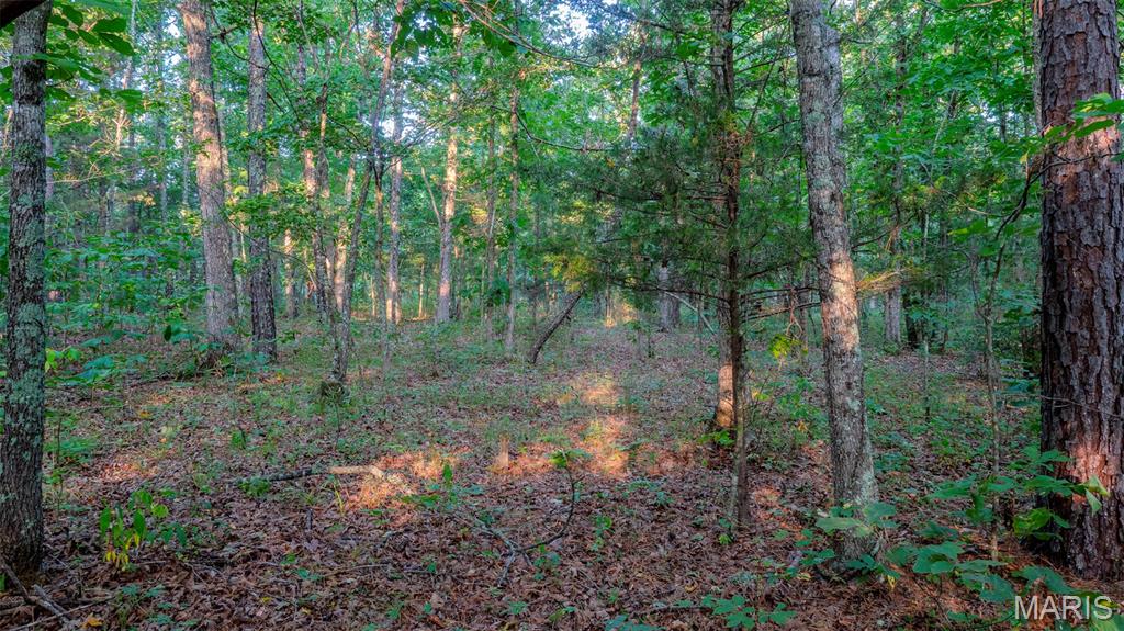 11620 Slaughter Road Licking, MO 65542 - Photo 31 of 38 Gallery Image 31