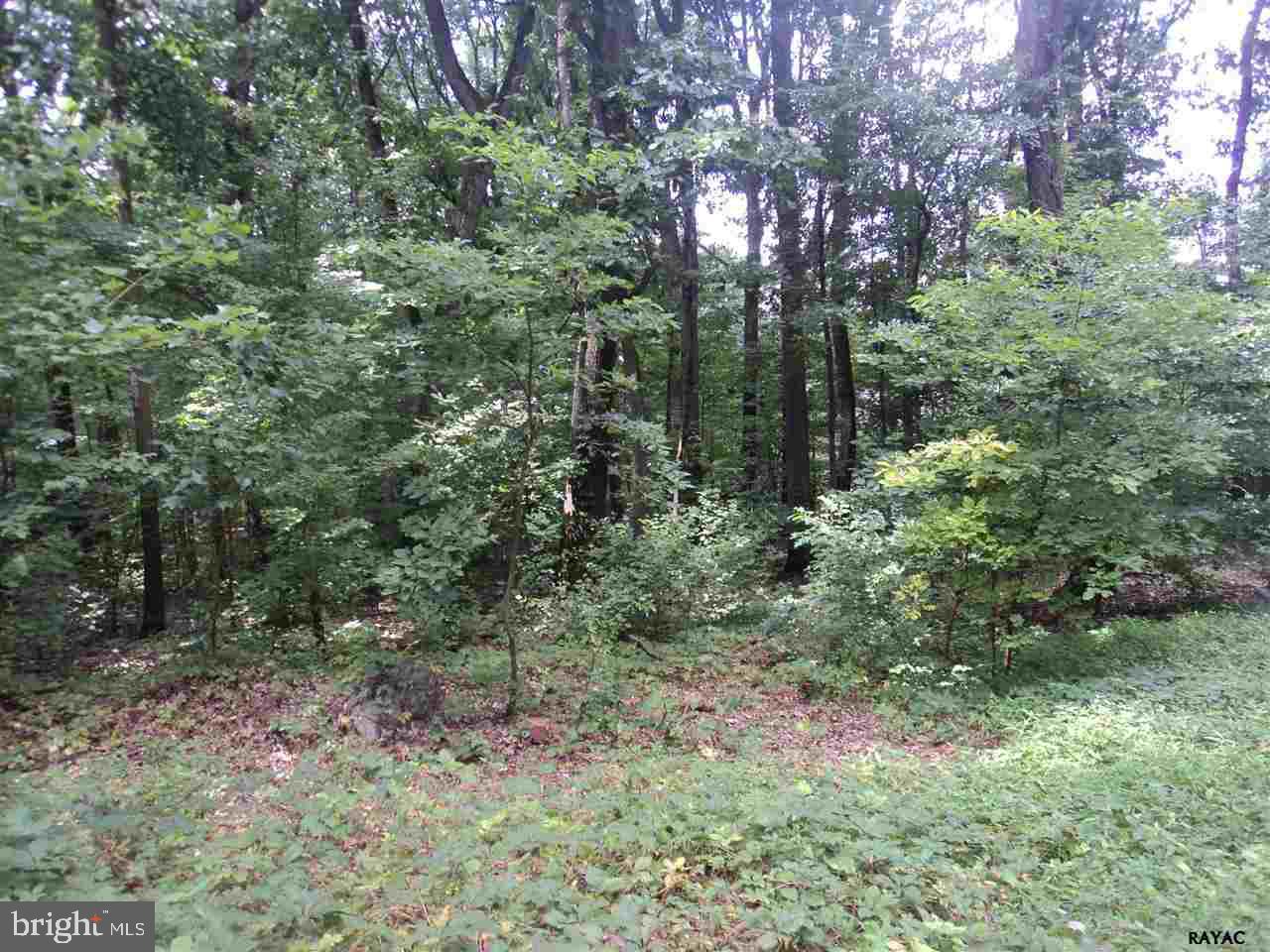 2691 Forest Road York, PA 17402 - Photo 3 of 3 Gallery Image 3
