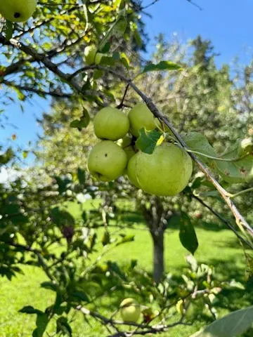 $299,900 | 18256 Highway 43, Mabel, MN 55954