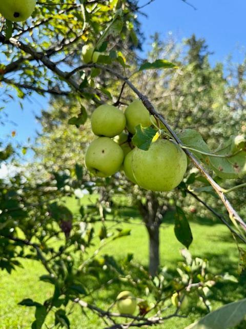 18256 Highway 43 Mabel, MN 55954 - Photo 20 of 22