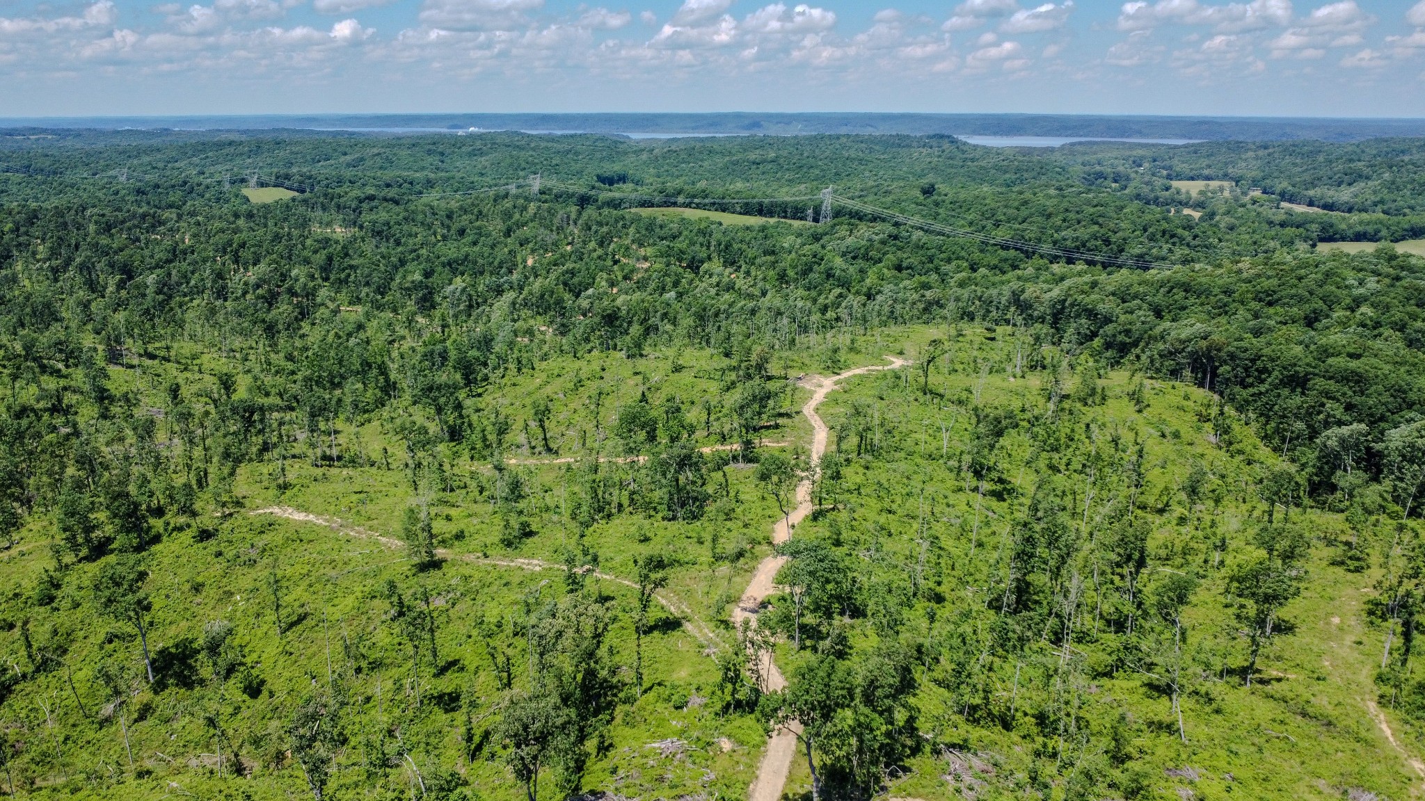 0 West Trace Creek Road Waverly, TN 37185 - Photo 12 of 21 a view of a big yard with plants and large trees