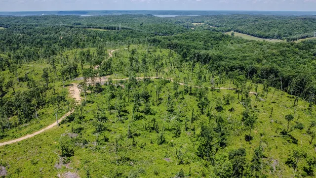 a view of a field of grass and trees