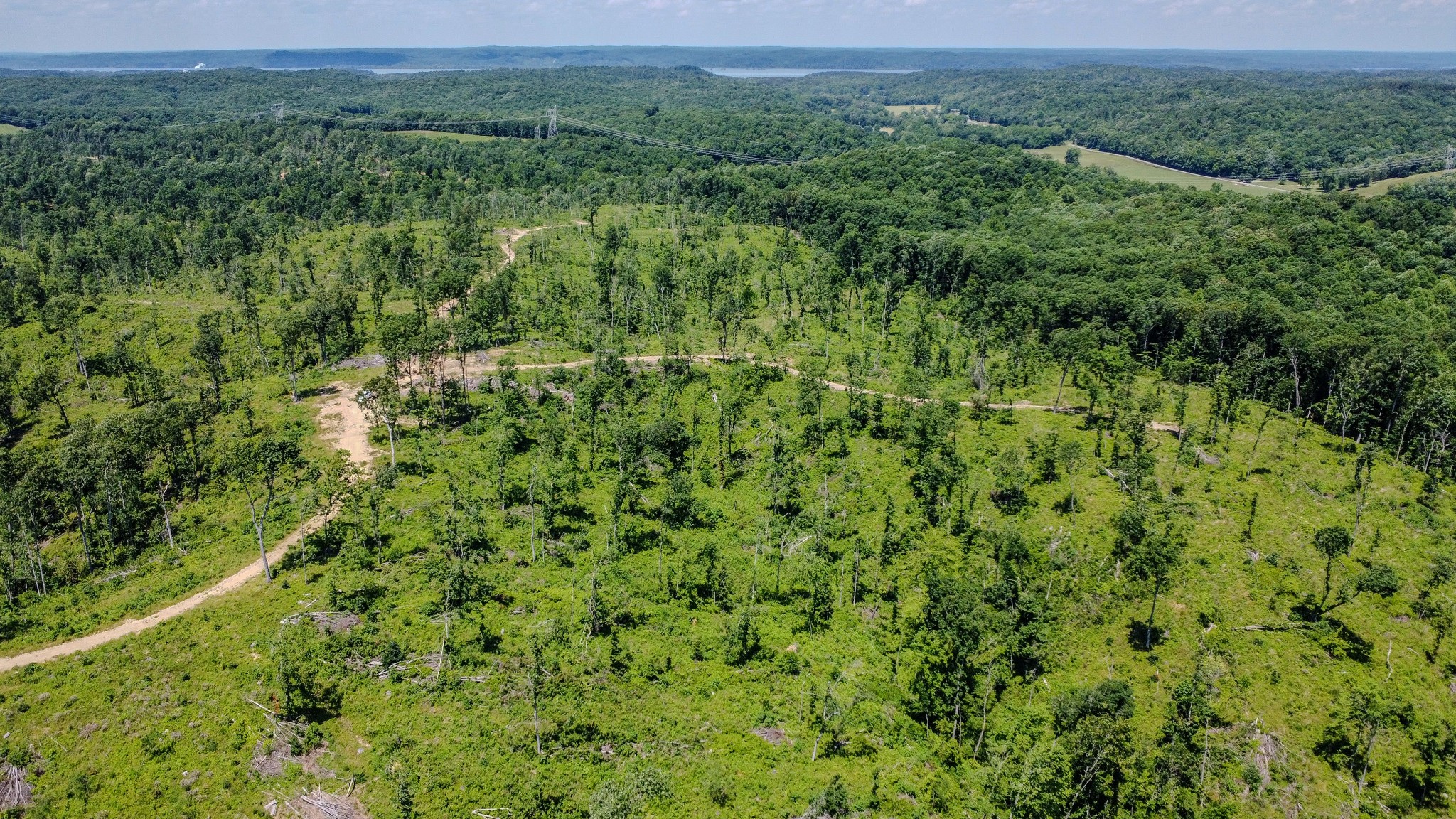 0 West Trace Creek Road Waverly, TN 37185 - Photo 13 of 21 a view of a green field with lots of bushes