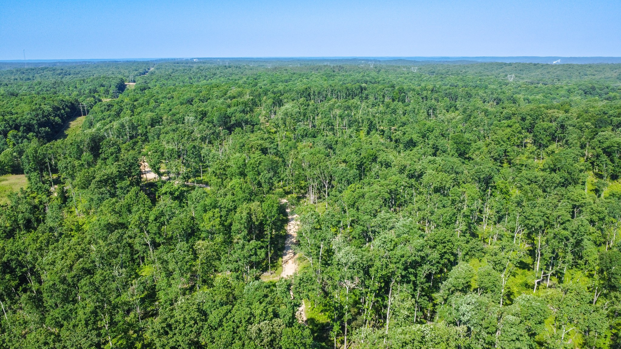 0 West Trace Creek Road Waverly, TN 37185 - Photo 14 of 21 a view of a field of grass and trees
