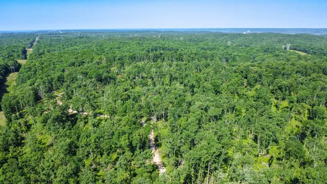 a view of a green field with lots of bushes