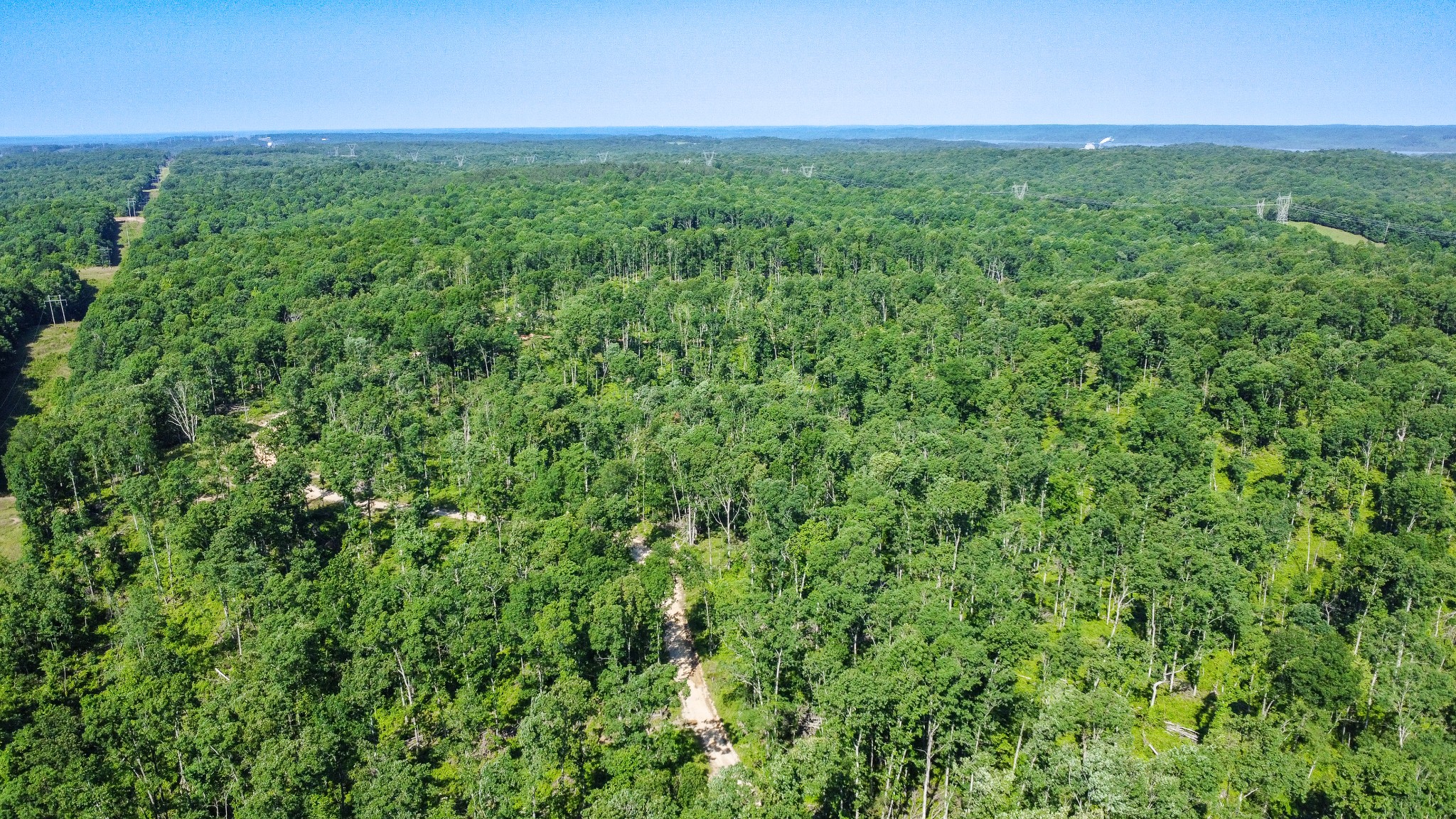 0 West Trace Creek Road Waverly, TN 37185 - Photo 15 of 21 a view of a big yard with plants and large trees