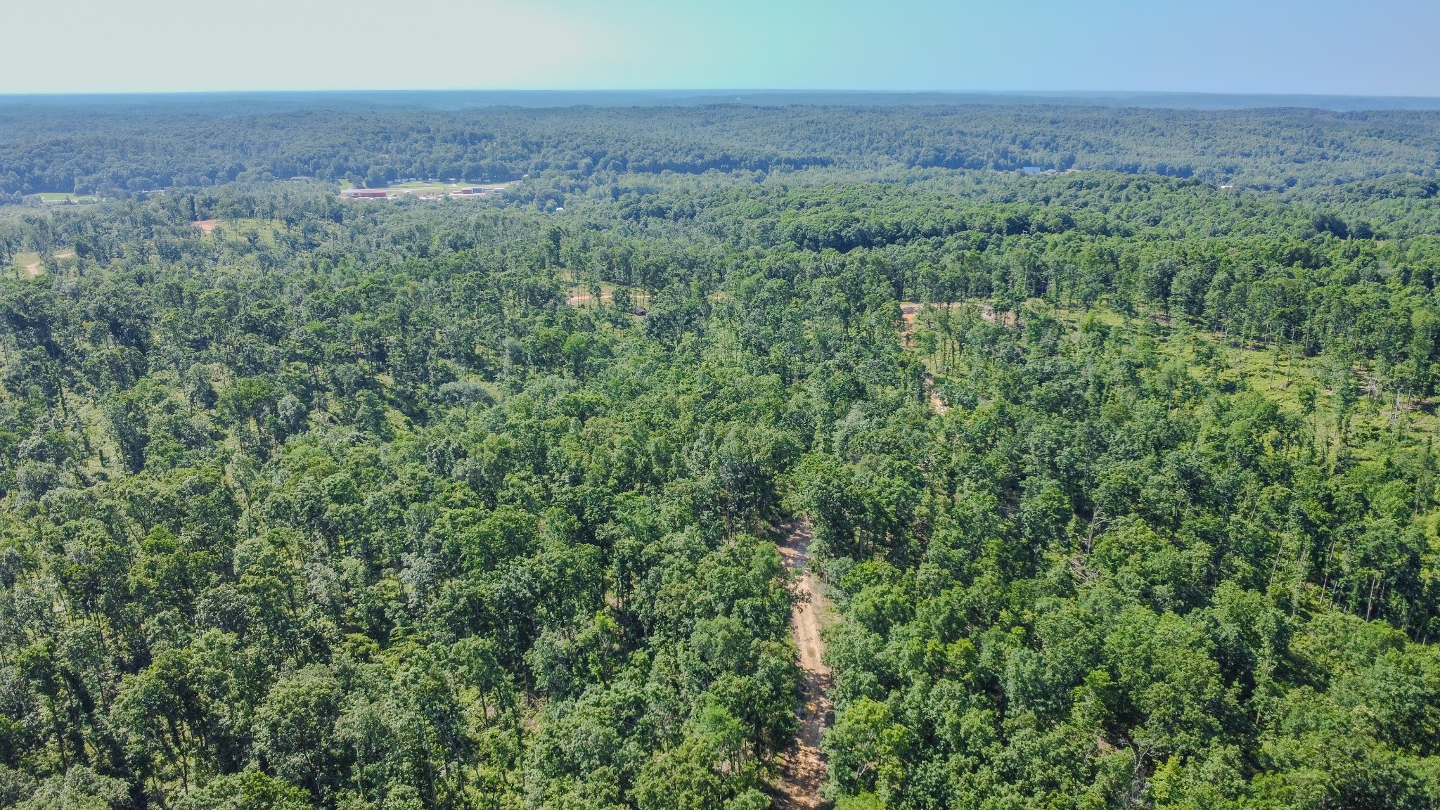 0 West Trace Creek Road Waverly, TN 37185 - Photo 16 of 21 a view of a green field with lots of bushes