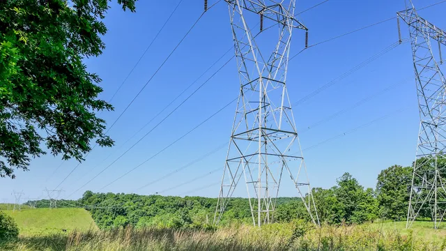 an aerial view of a houses with a lush green forest