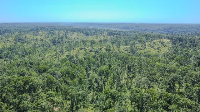 a view of a city with lush green forest