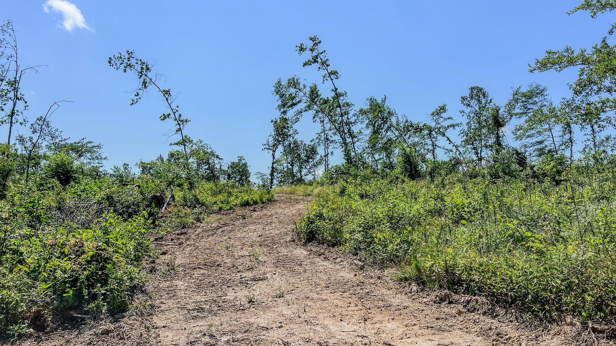 0 West Trace Creek Road Waverly, TN 37185 - Photo 7 of 21
