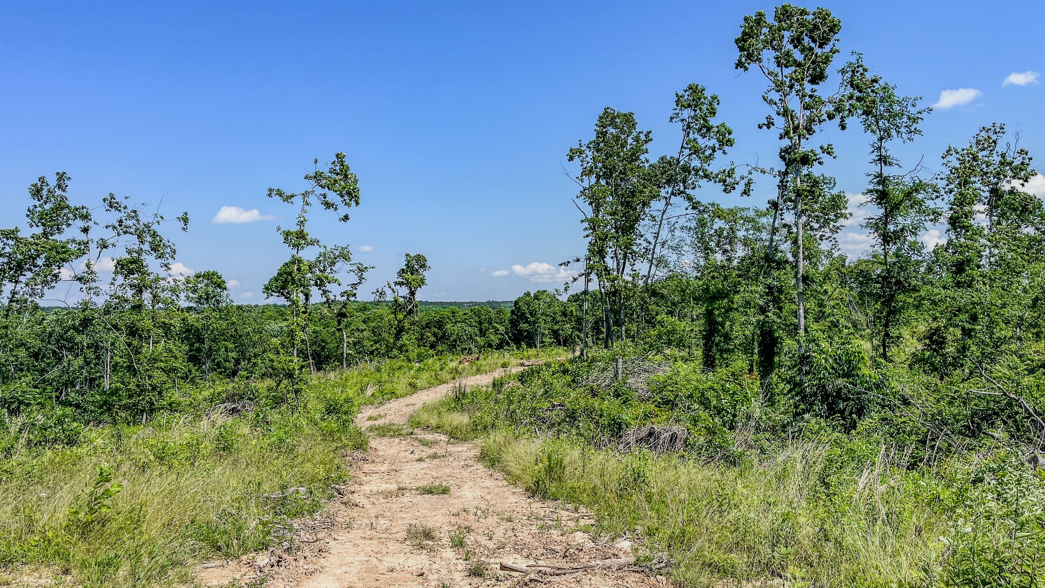 0 West Trace Creek Road Waverly, TN 37185 - Photo 10 of 21 an aerial view of a house with a yard