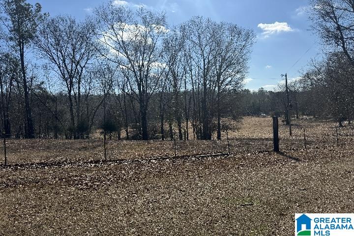 1036 Rushing Springs Road Lincoln, AL 35096 - Photo 13 of 58