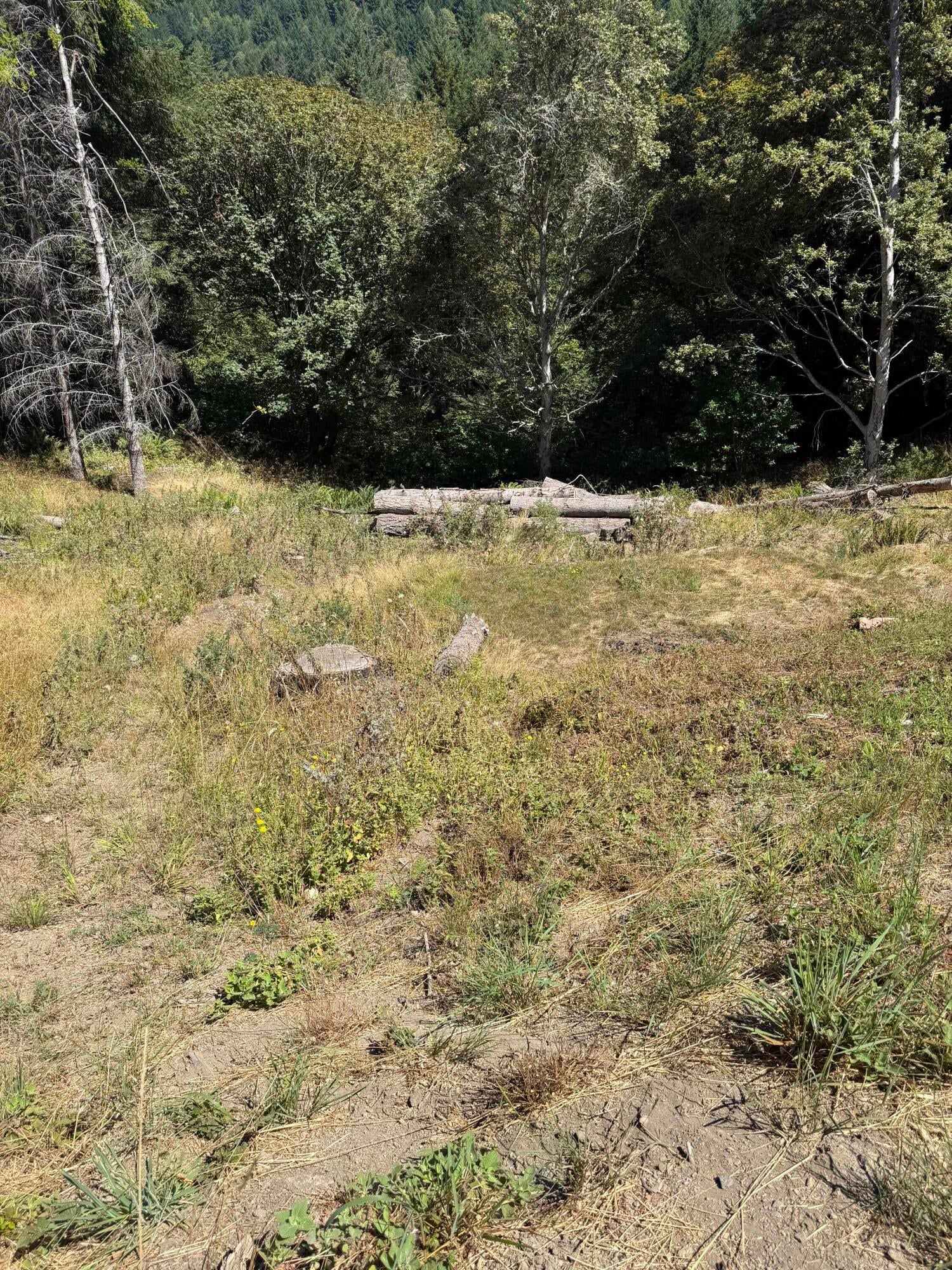 197-207 Ridge Road Shelter Cove, CA 95589 - Photo 5 of 8 Gallery Image 5