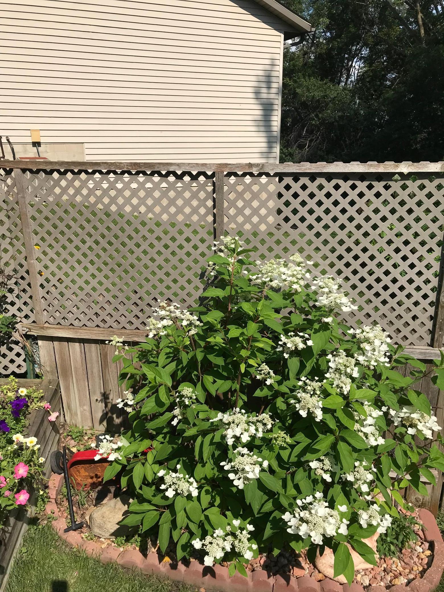 2335 2nd Avenue Southwest Rochester, MN 55902 - Photo 43 of 50