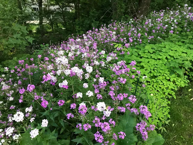 $365,000 | 2335 2nd Avenue Southwest, Rochester, MN 55902