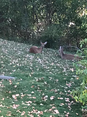 $365,000 | 2335 2nd Avenue Southwest, Rochester, MN 55902