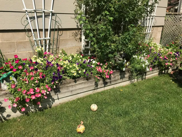 $365,000 | 2335 2nd Avenue Southwest, Rochester, MN 55902