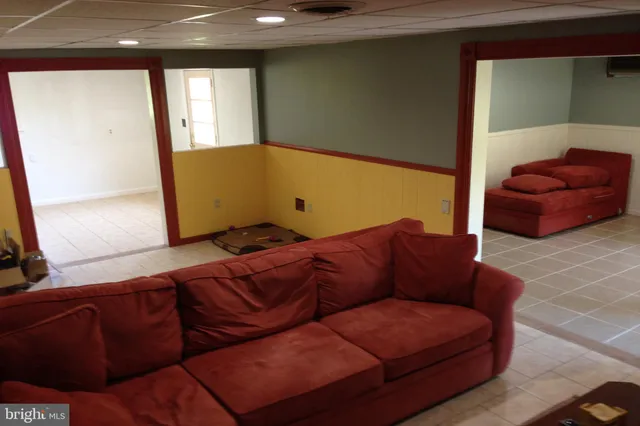 a living room with a couch and a potted plant