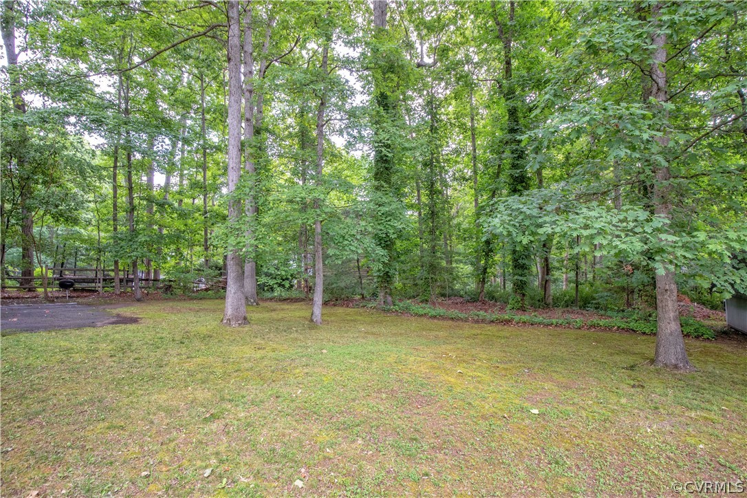 851 Watch Hill Road Midlothian, VA 23114 - Photo 3 of 28 Gallery Image 3