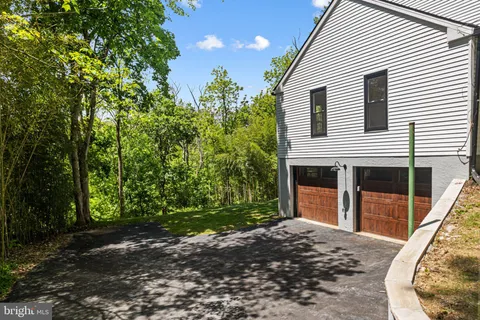 a view of a backyard with large trees and plants
