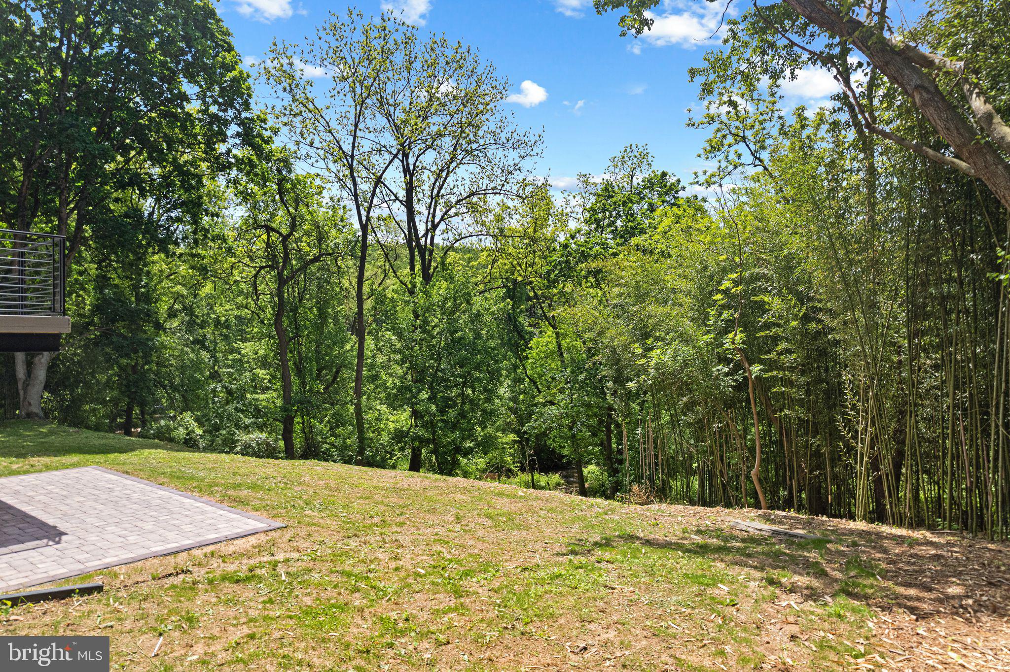 726 Darby Paoli Road Newtown Square, PA 19073 - Photo 9 of 55 a view of a yard with large trees