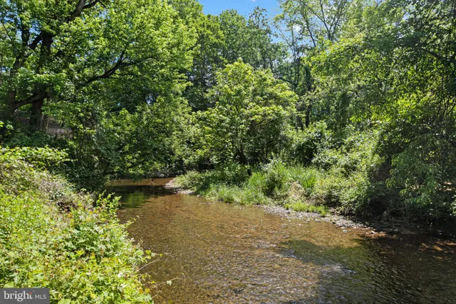 a view of a lake with a tree