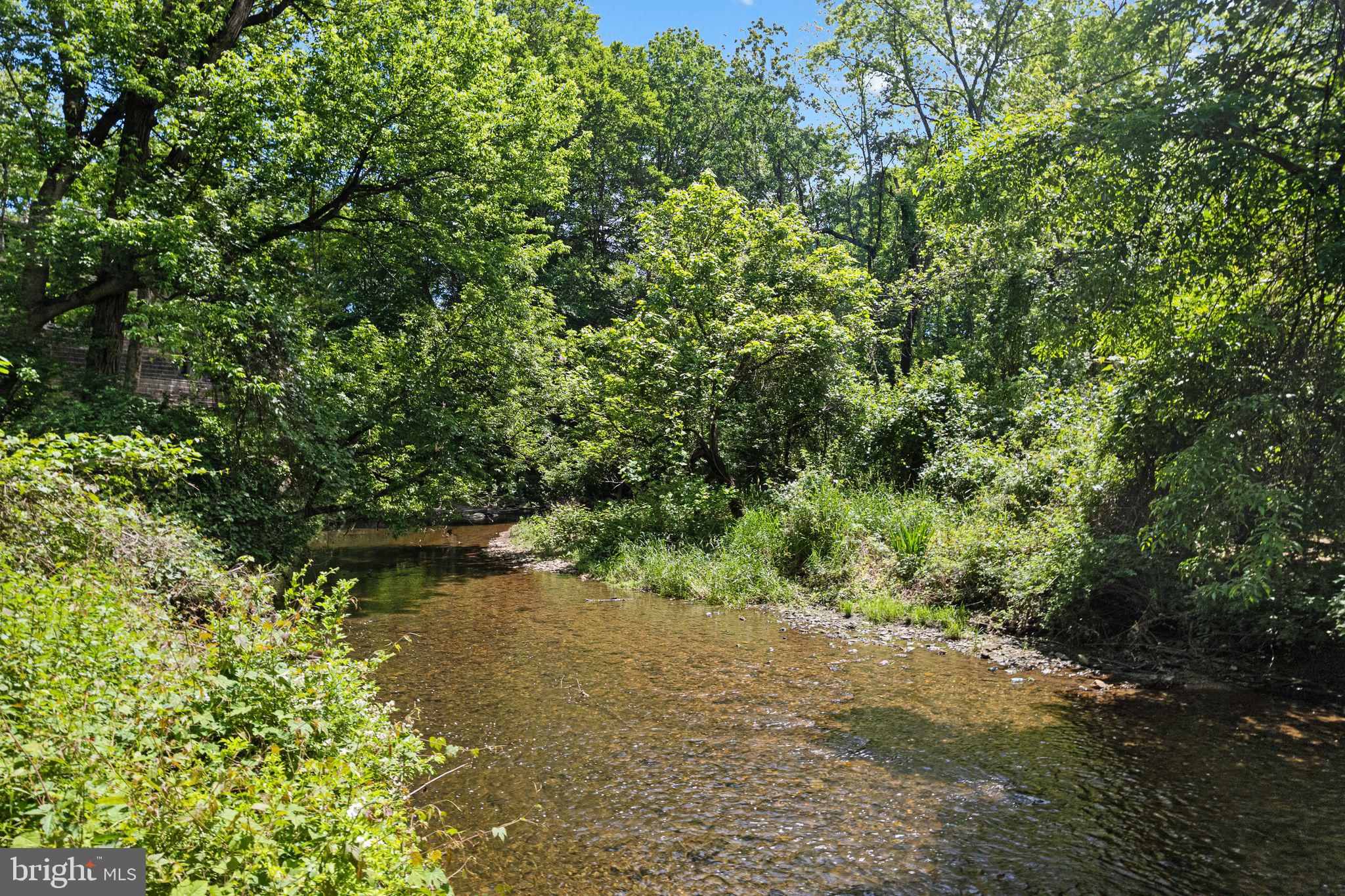 726 Darby Paoli Road Newtown Square, PA 19073 - Photo 10 of 55 a view of a lake with a tree