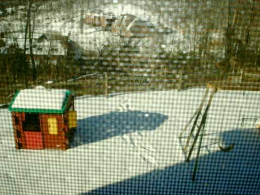 835 Field Club Road Pittsburgh, PA 15238 - Photo 6 of 6 Yard/Garden.
