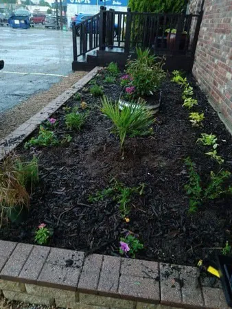 a view of a backyard with pathway