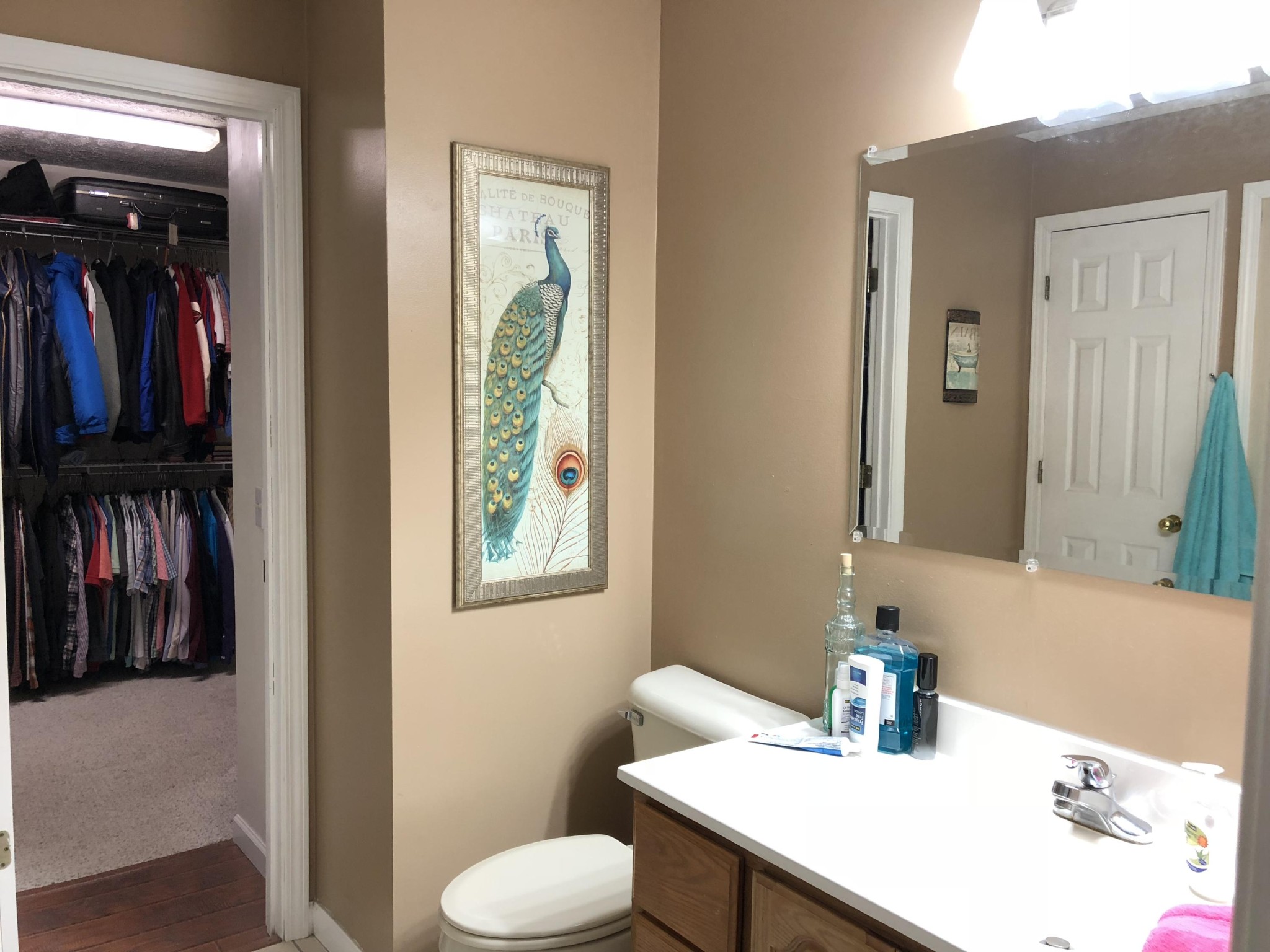 13711 Vonore Road Loudon, TN 37774 - Photo 24 of 34 a bathroom with a sink a toilet and a mirror