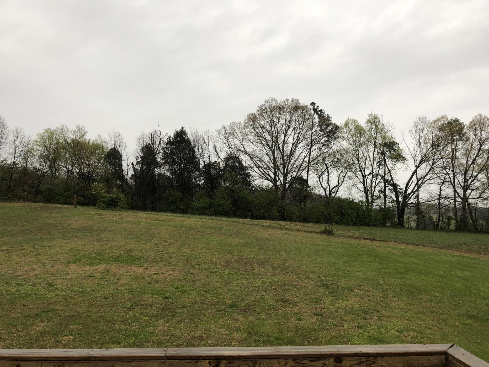 13711 Vonore Road Loudon, TN 37774 - Photo 30 of 34 a view of a field with an trees
