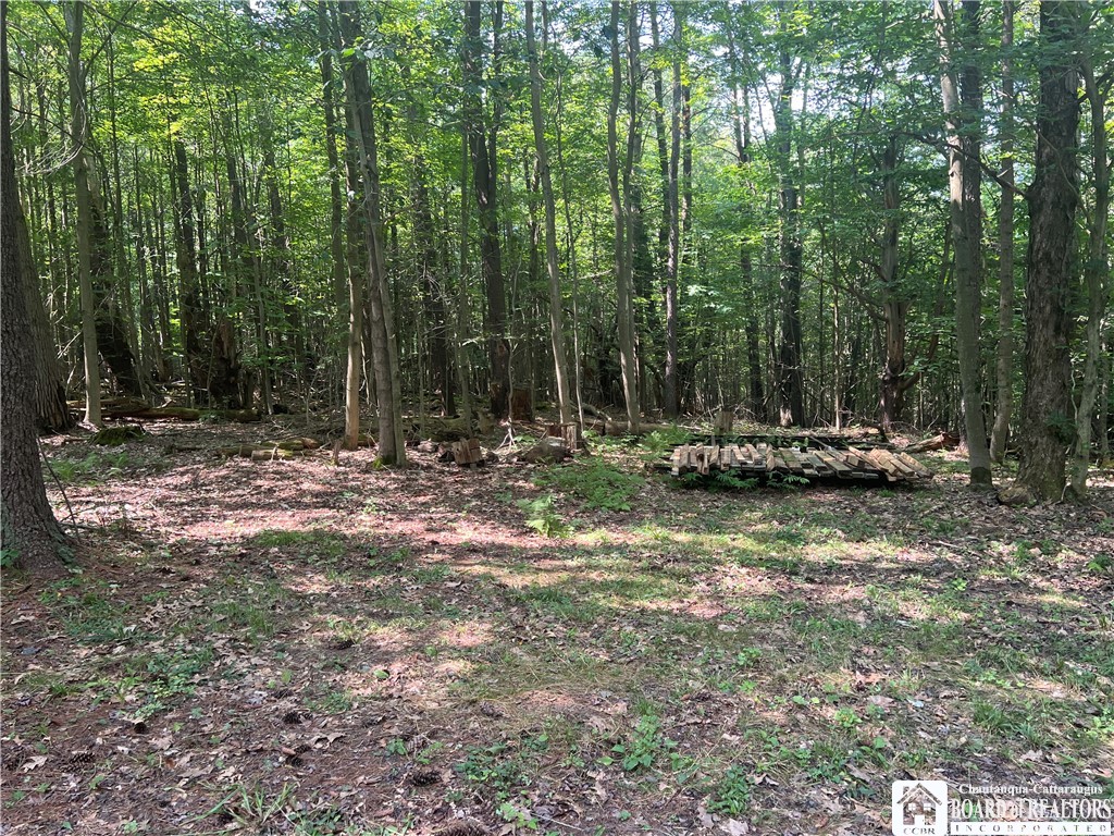2630 Zimmer Road Wirt, NY 14739 - Photo 1 of 1