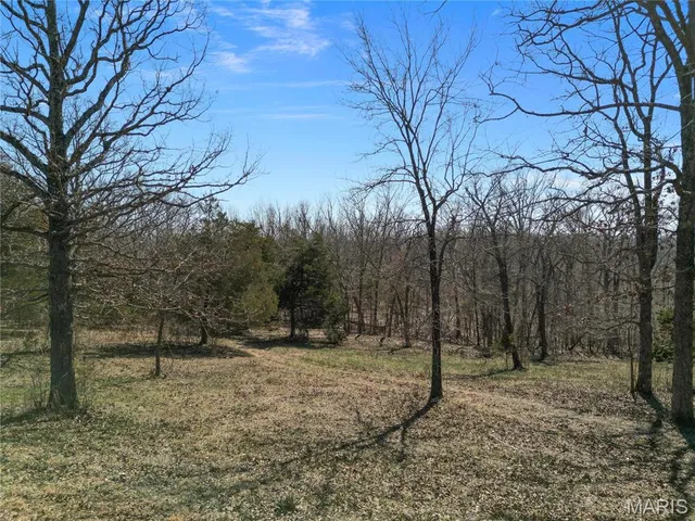 $121,500 | 0 Highway N Perryville Mo 63775, Perryville, MO 63775